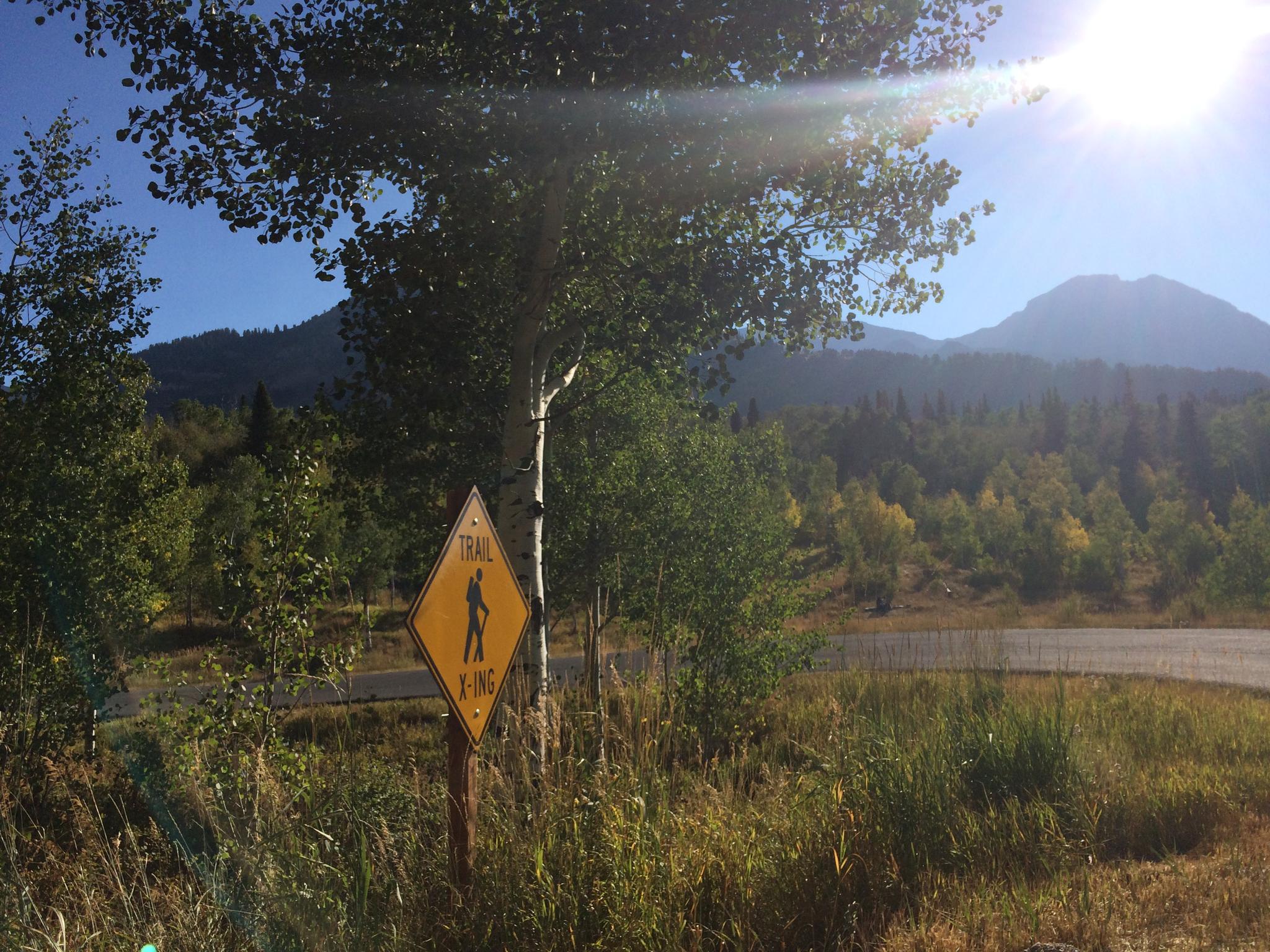 Yellow "Trail Crossing" sign by a road, with trees and sunny mountains.