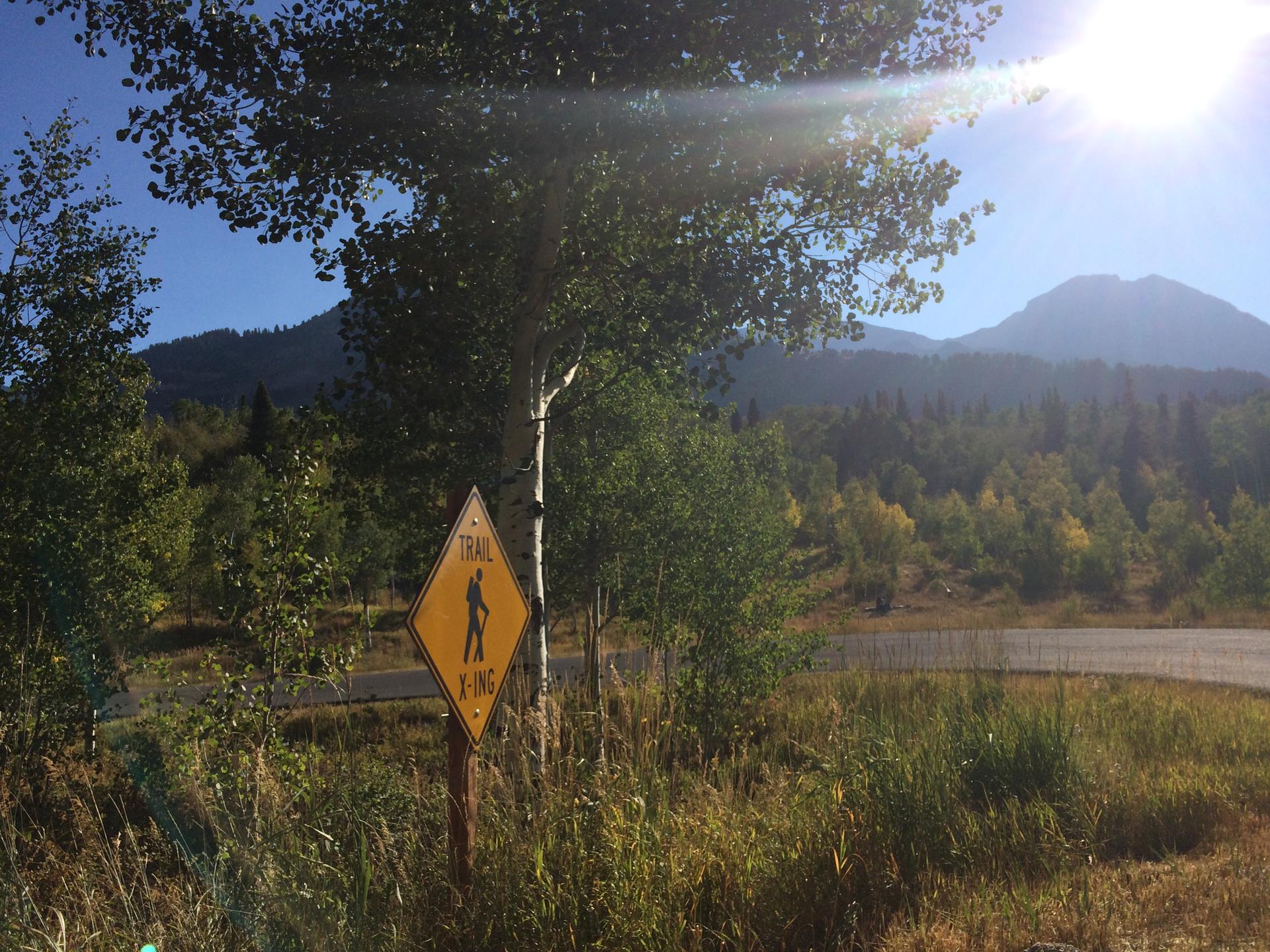 Yellow "Trail Crossing" sign by a road, with trees and sunny mountains.