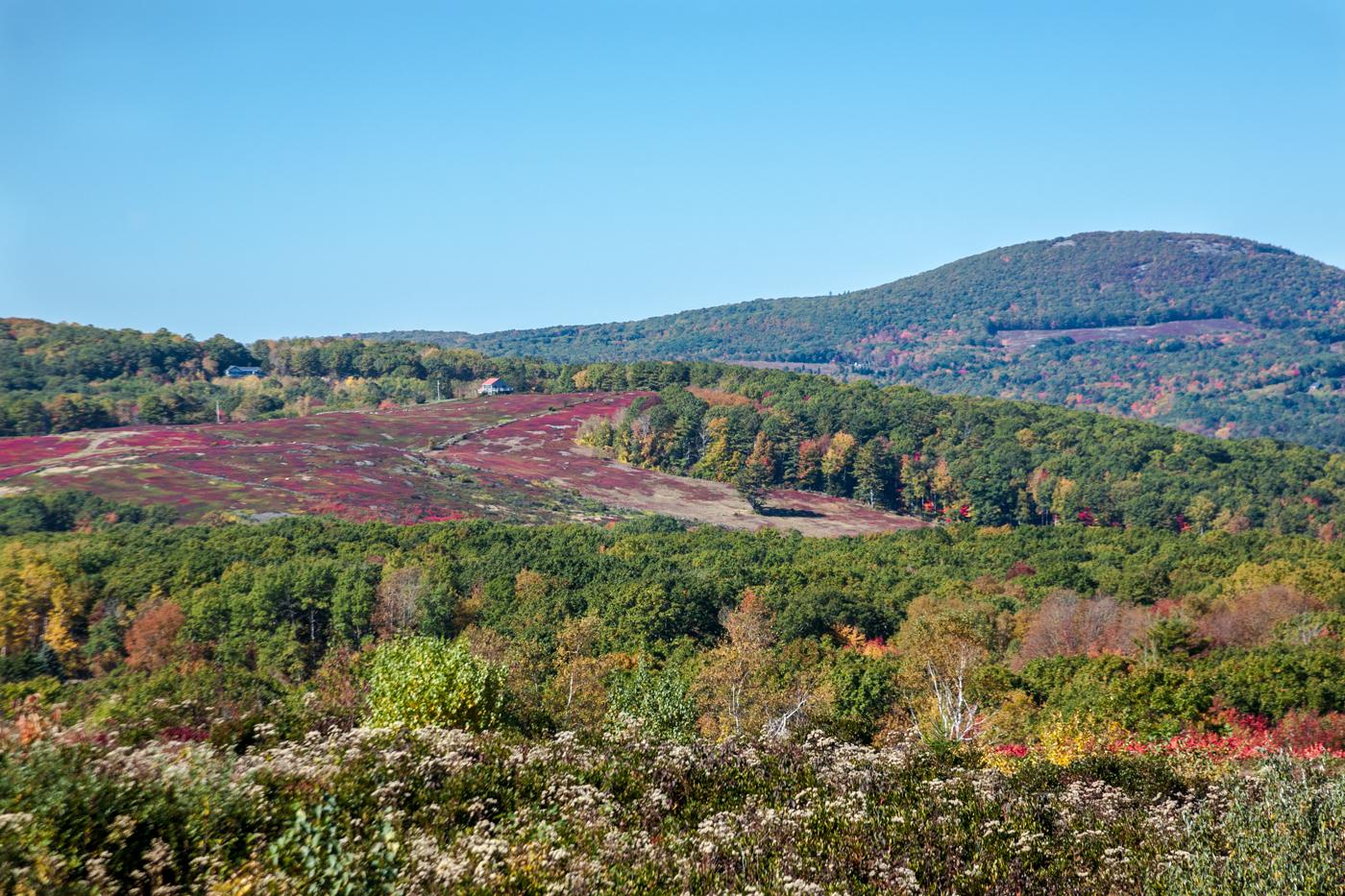 Bright autumn landscape with colorful hills and a clear blue sky.