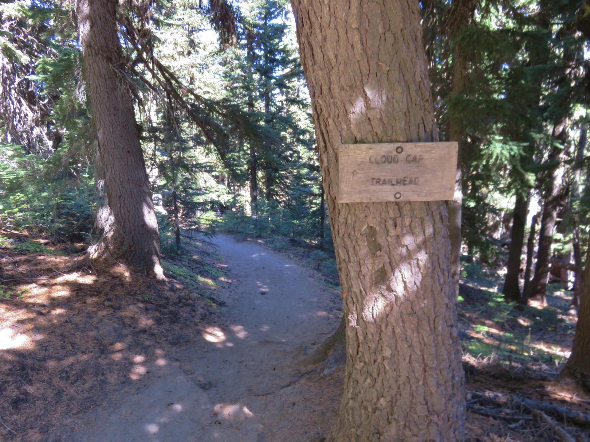 A wooden trailhead sign is nailed to a tree beside a dirt path.