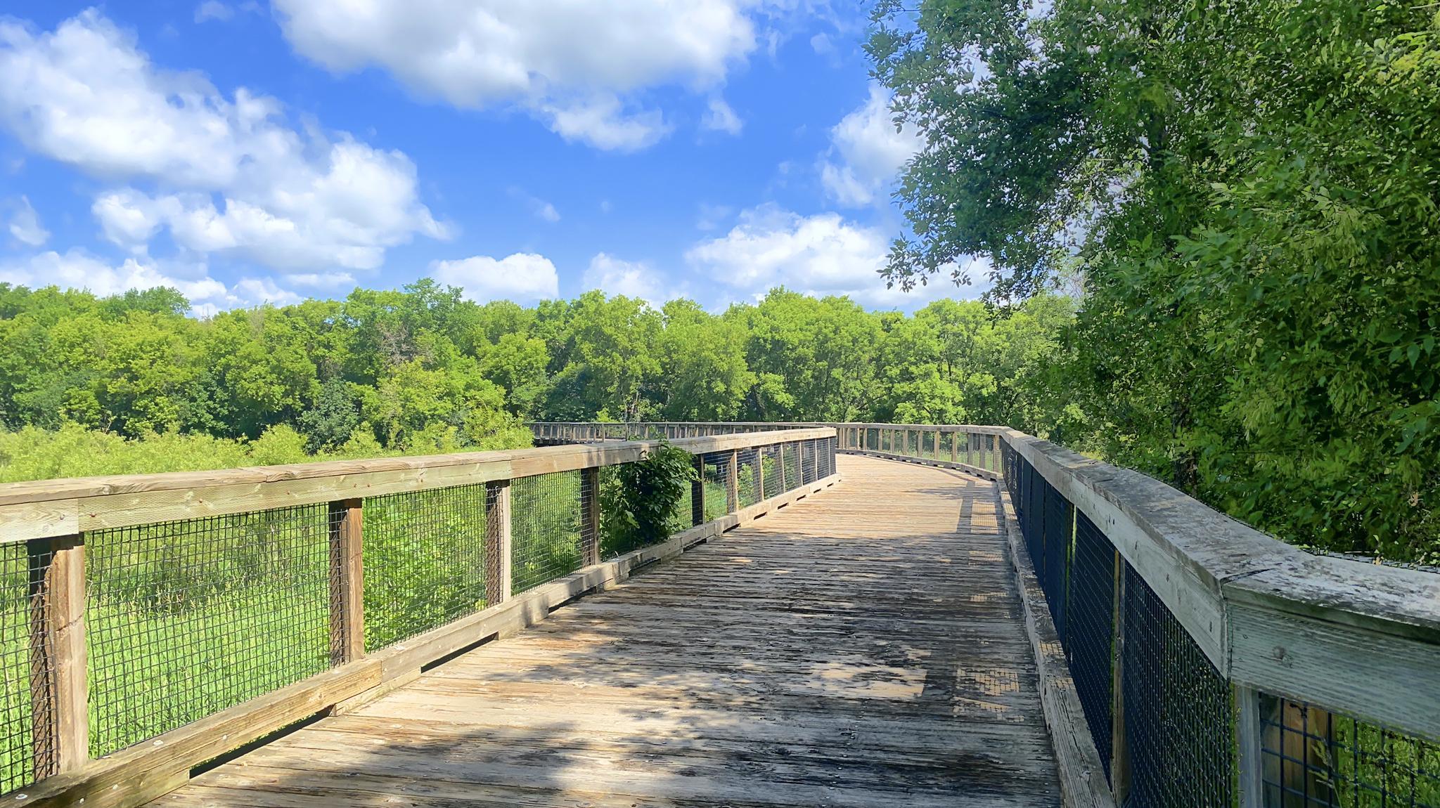 A winding wooden boardwalk through lush green trees on a sunny day.