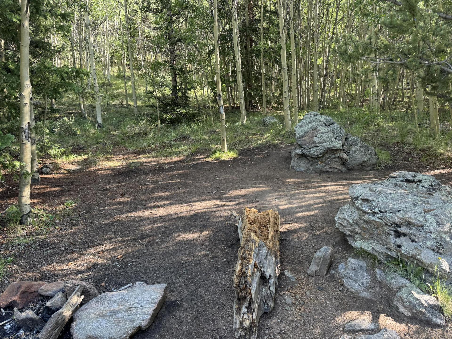 A rustic campsite clearing with a fire pit, rocks, and trees under dappled light.