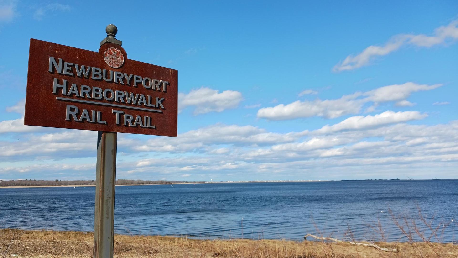 A brown wooden sign stands by a vast blue ocean under a bright sky.
