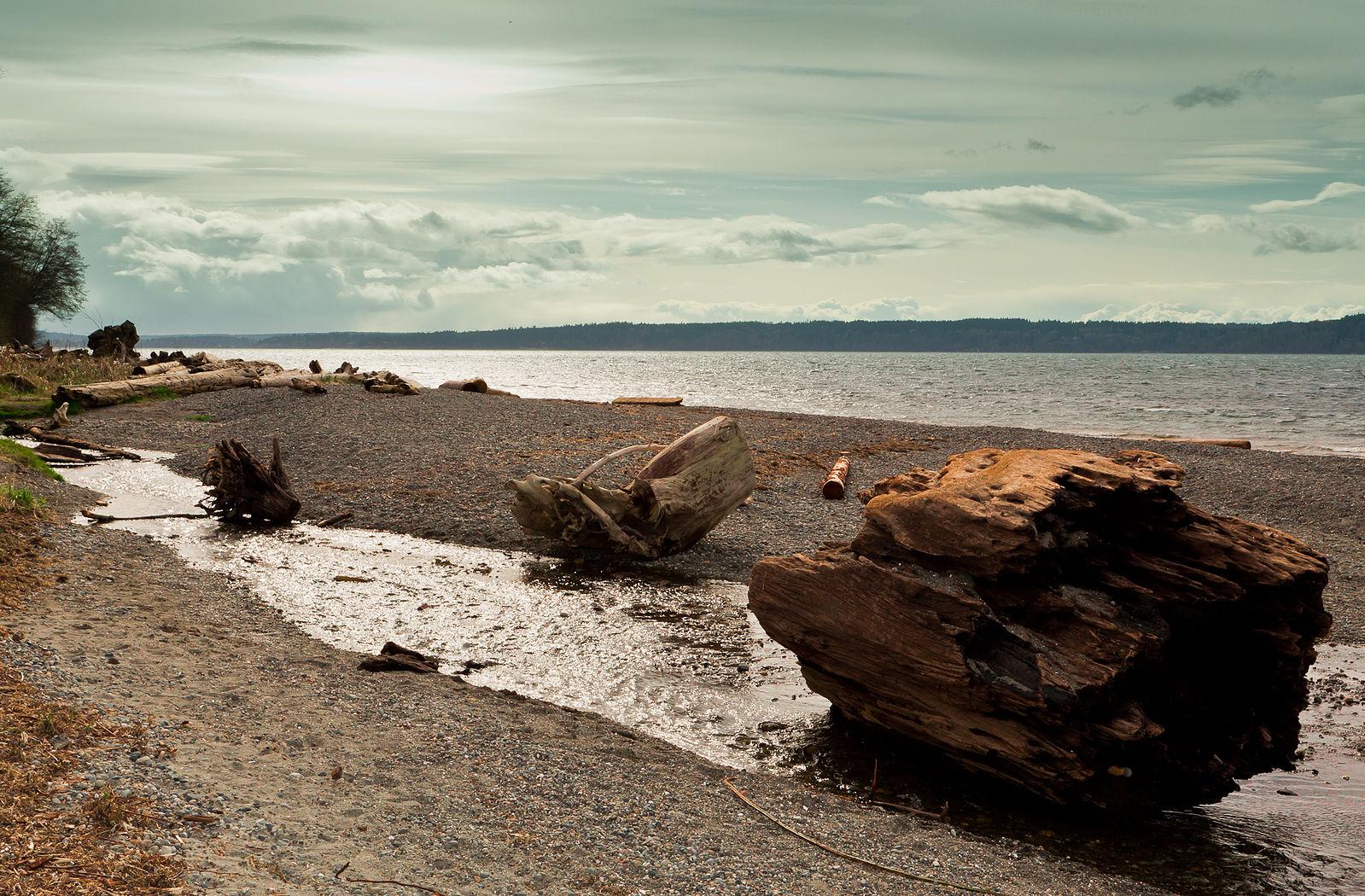Rocky beach with driftwood, stream flowing into water under cloudy sky.