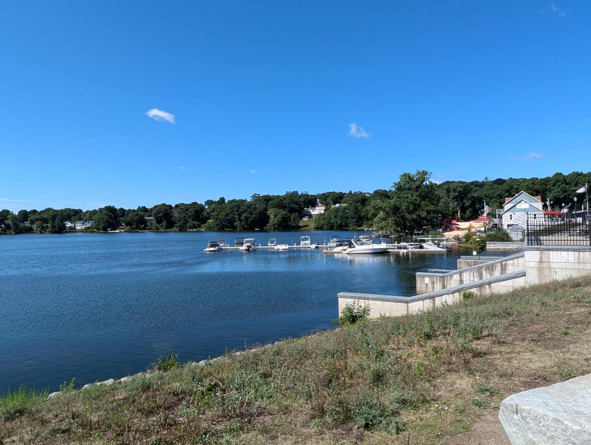 Sunny day over a lake with boats docked near a treed shoreline and houses.