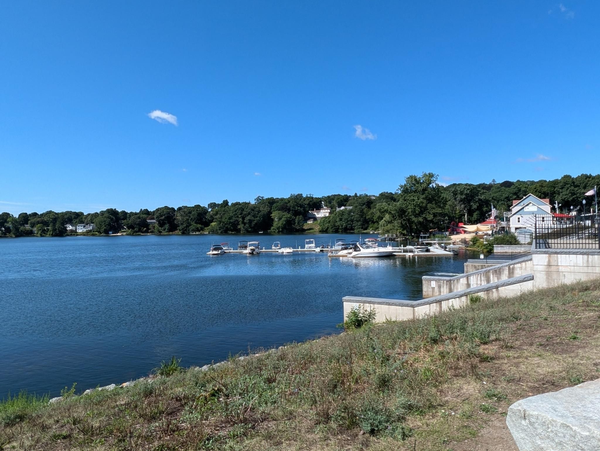 Sunny day over a lake with boats docked near a treed shoreline and houses. - Mystic Lakes Trail – Medford Brewing Company loop from West Medford