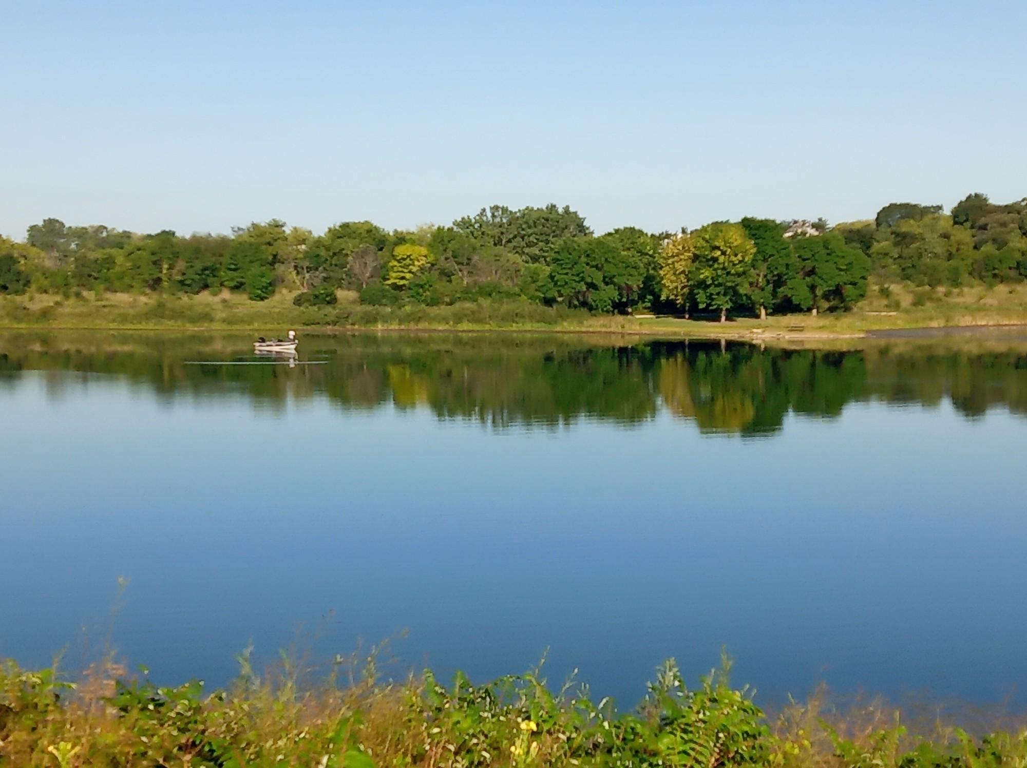 Calm lake with a person in a small boat, green treeline, sunny day.