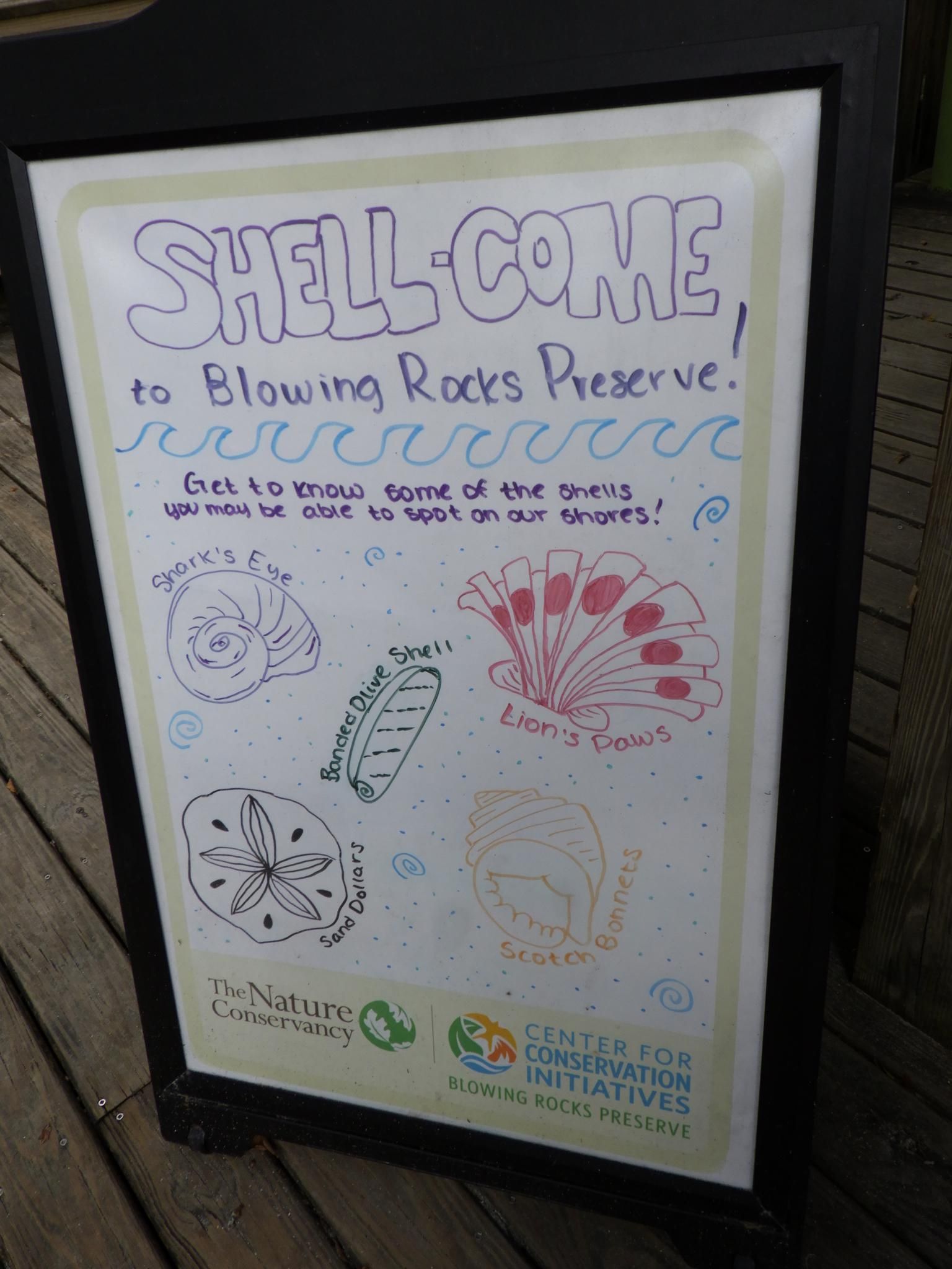 A white sign on a wooden deck welcomes visitors and shows shell illustrations. - Jupiter Beach Park to Hobe Sound Beach & Johnatahan Dickson State Park loop