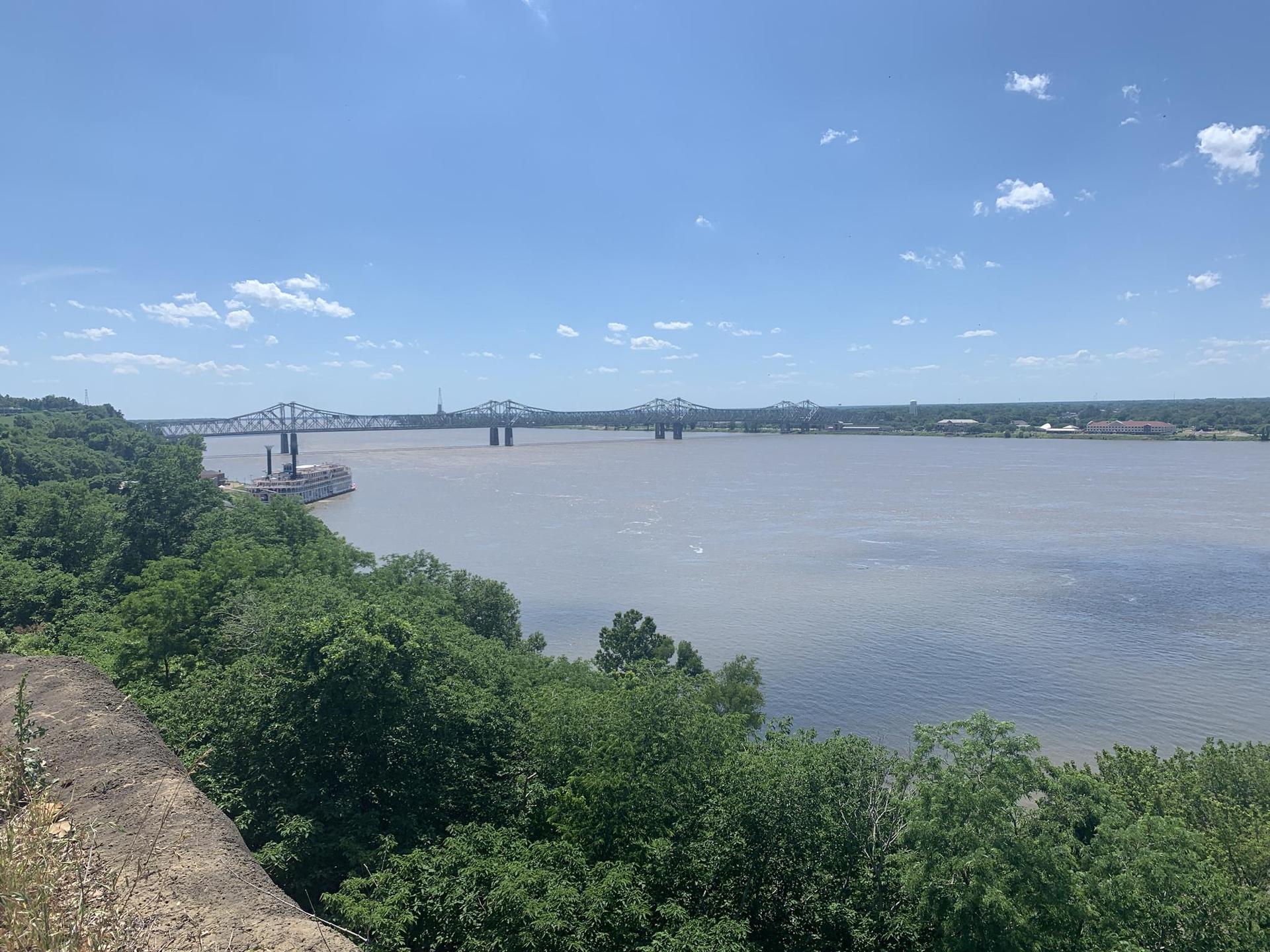 Wide river with a distant bridge and lush green trees on a sunny day.