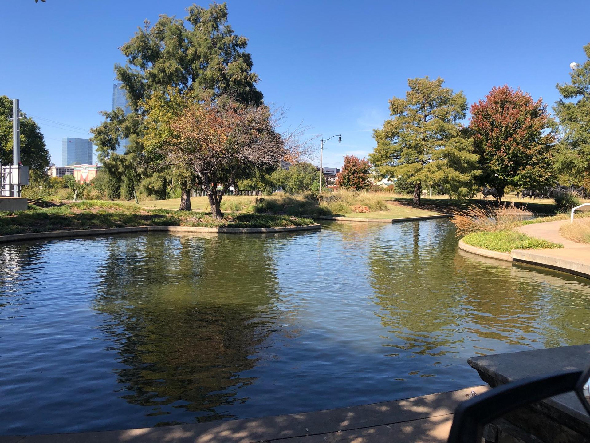 Calm pond reflecting trees with green and autumn leaves on a sunny day.