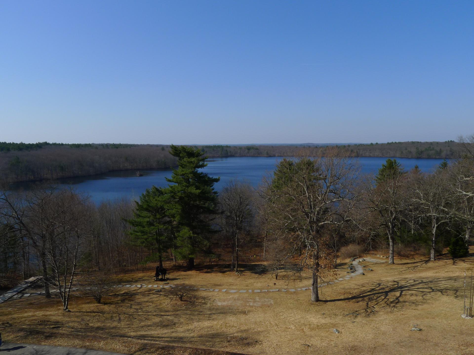 Wide view of a lake surrounded by trees under a clear blue sky.