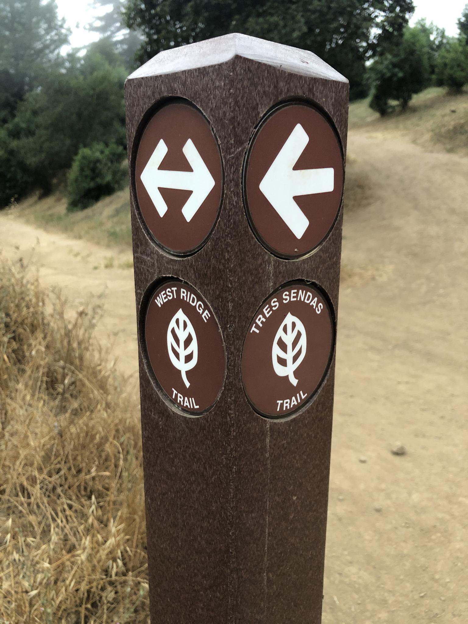 A brown trail marker post with white arrows and leaf symbols.