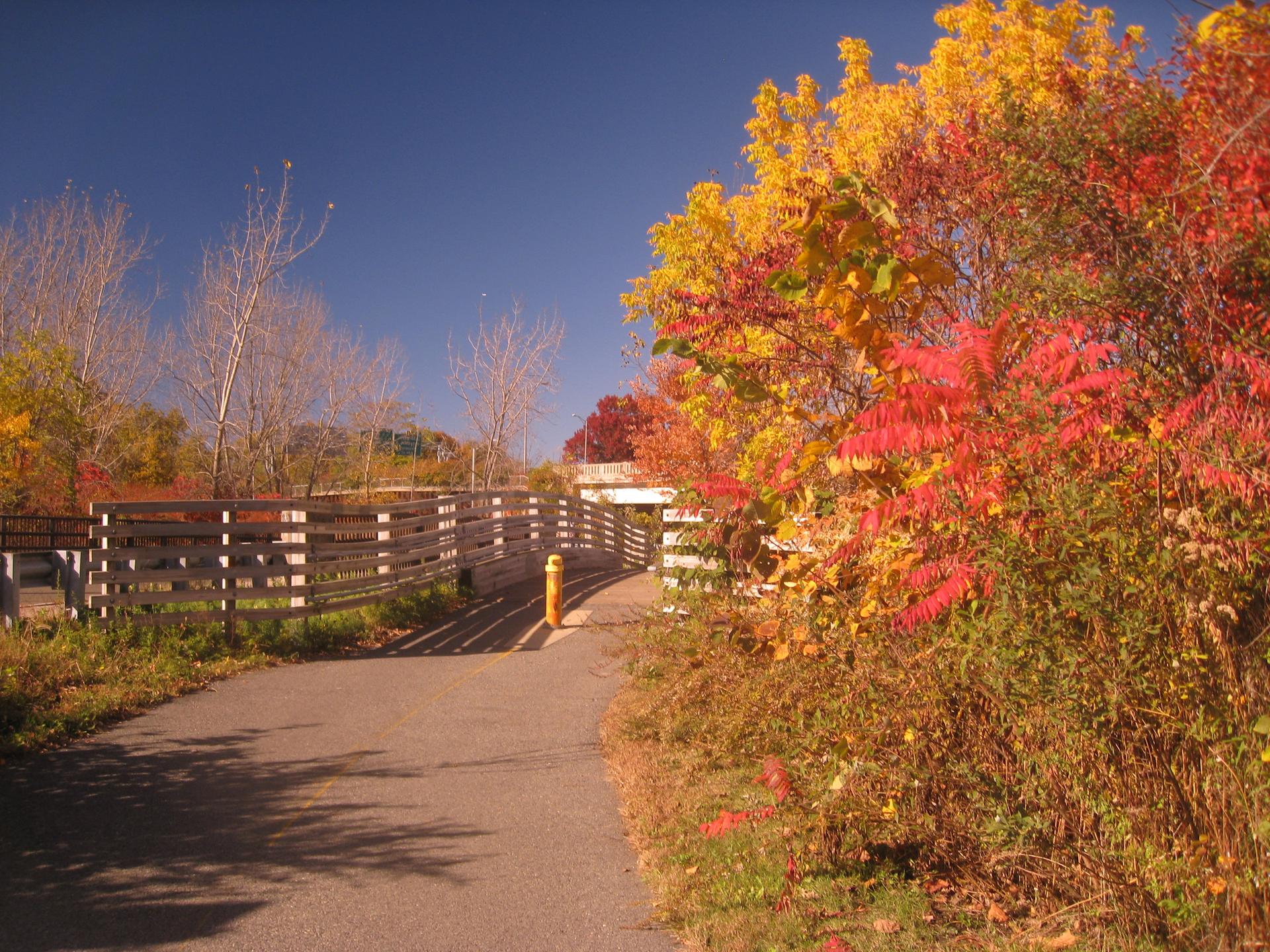 Paved path leading to a wooden bridge, surrounded by vibrant autumn trees.