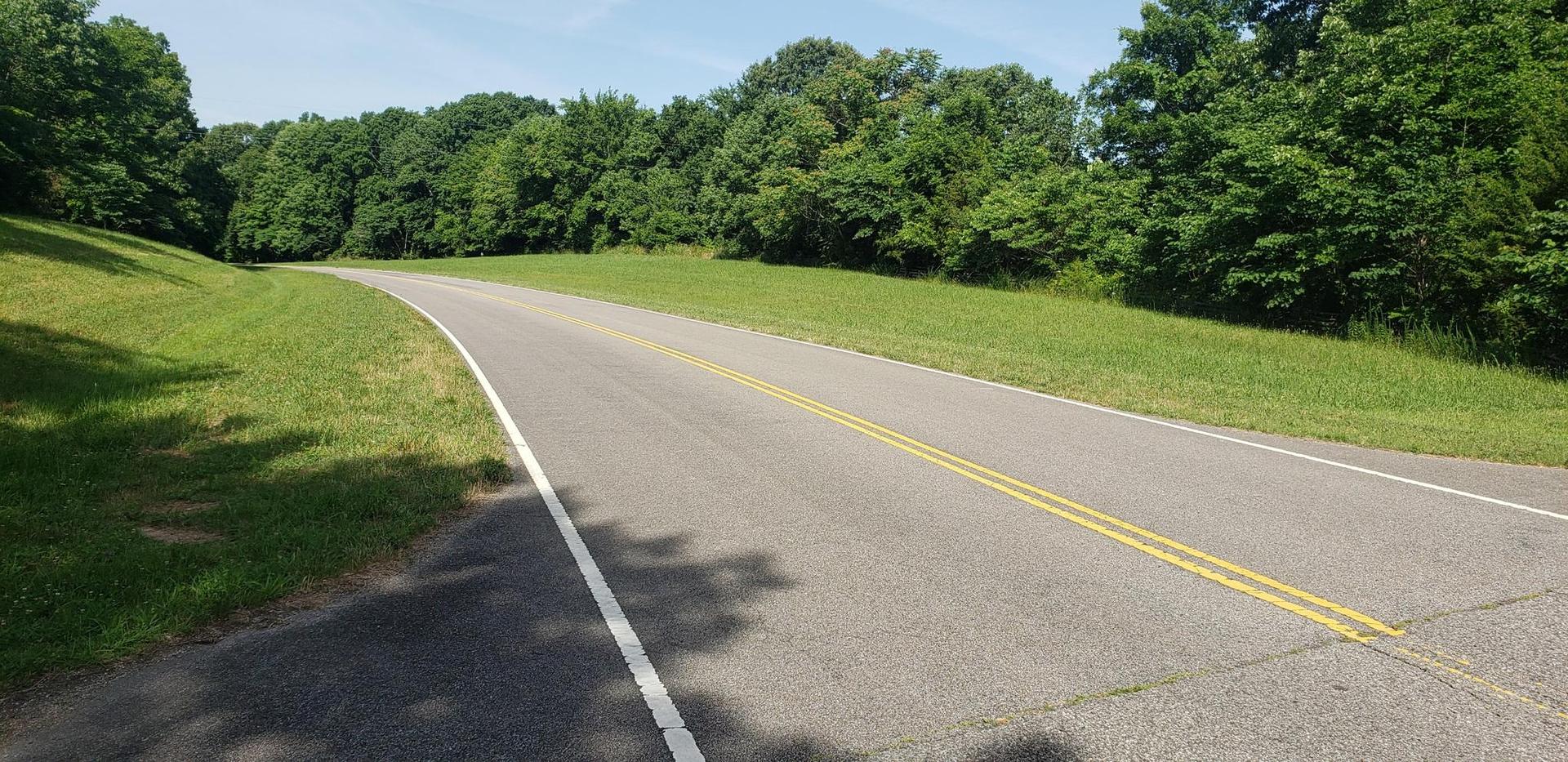 Empty paved road winding through lush green trees on a bright sunny day.