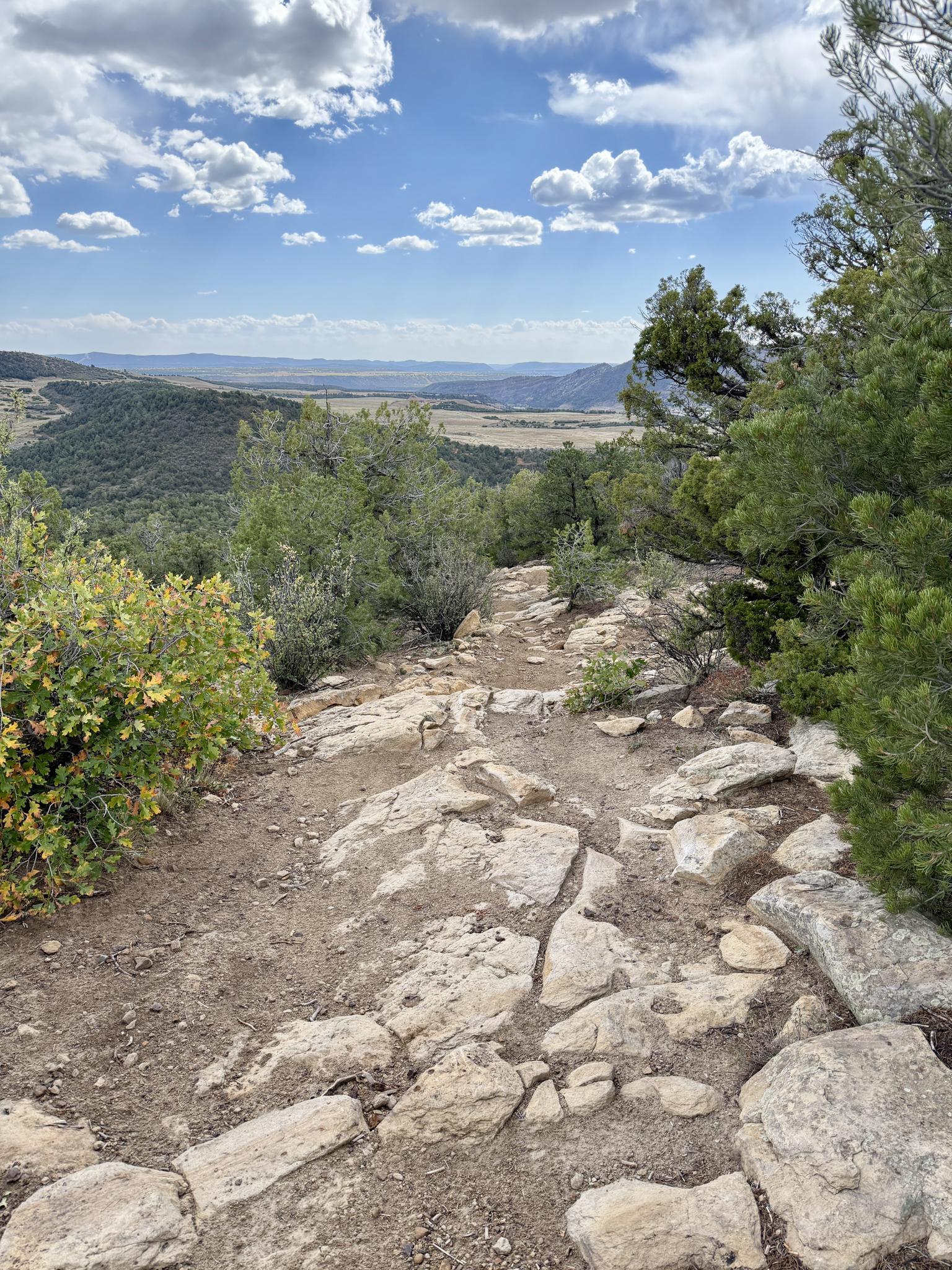 Rocky dirt trail through green bushes, overlooking a distant valley under clouds.