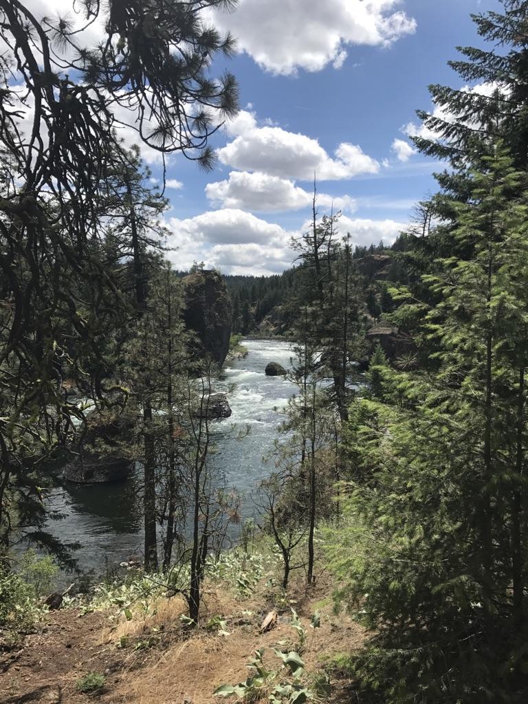 River winding through a deep forested canyon under a partly cloudy sky.