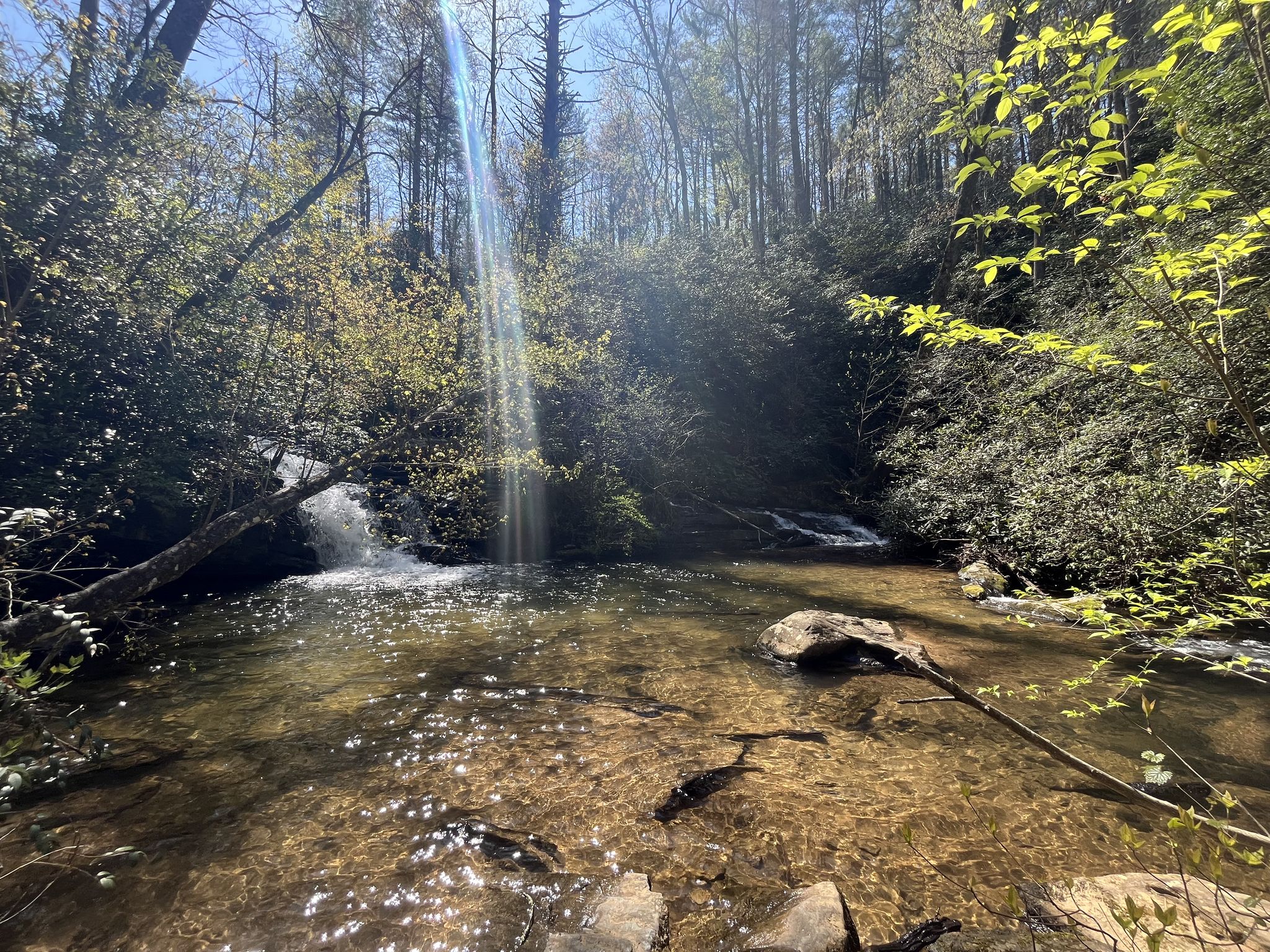 Sunlight beams onto a stream with small waterfalls in a dense forest. - Foothills Trail: Whitewater Falls to Oconee State Park
