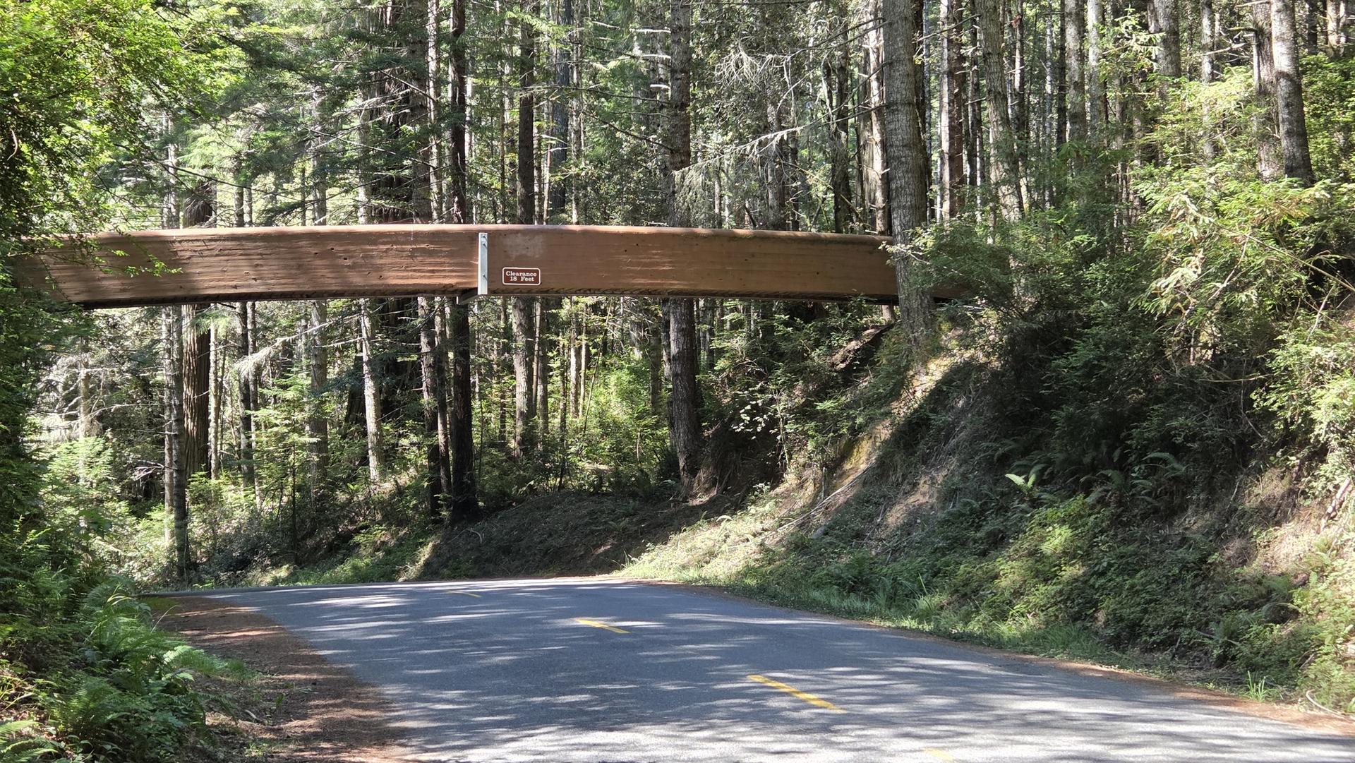 A wooden pedestrian bridge spans over a paved road in a dense forest.