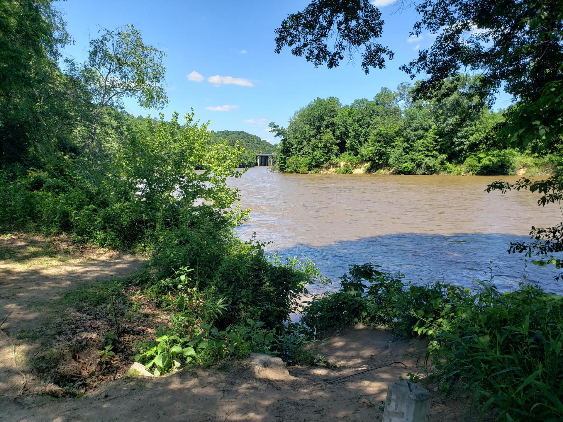 Wide, muddy river flowing past green, wooded banks under a blue sky.