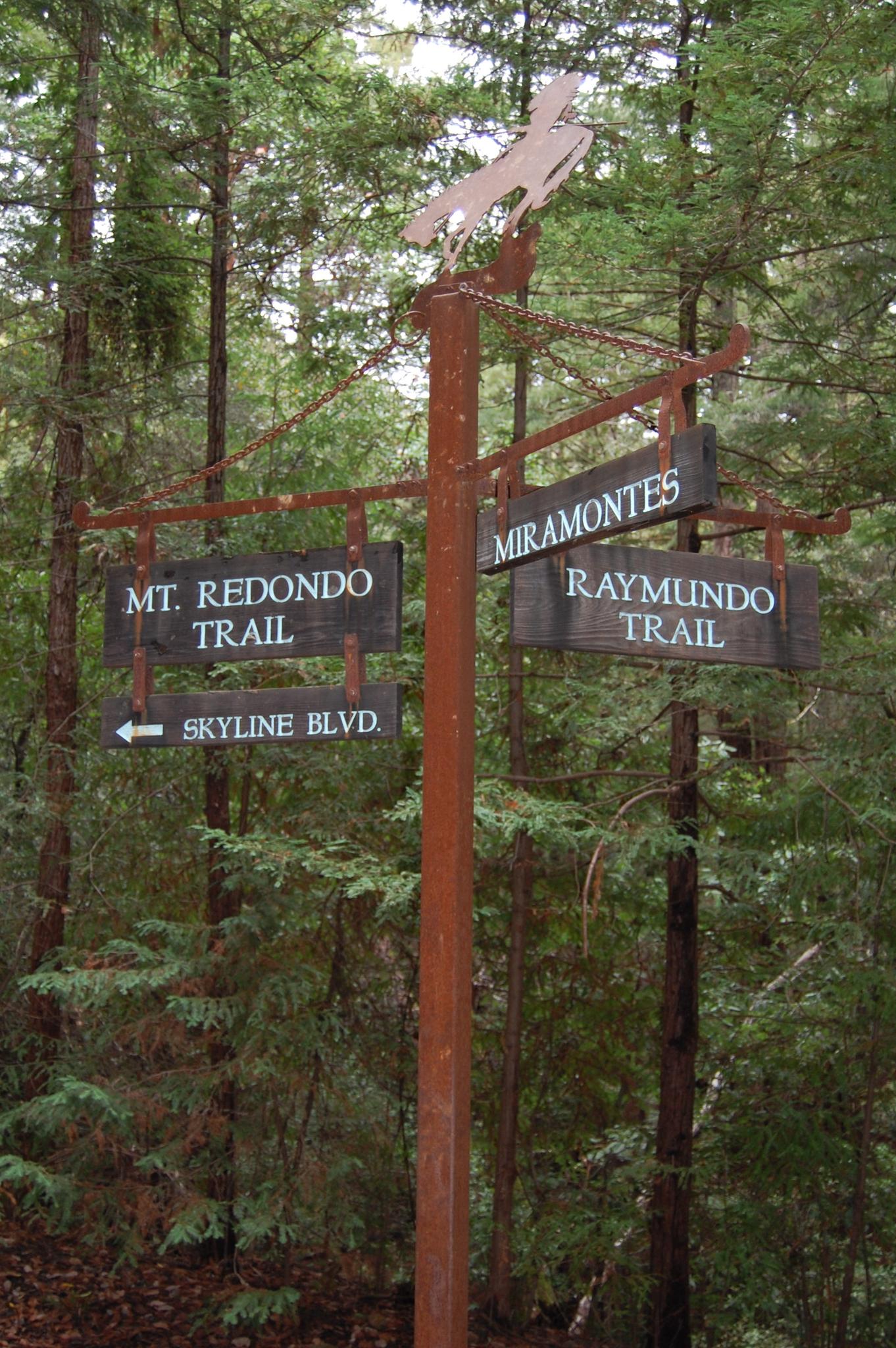A rustic trail signpost with a bird cutout and multiple signs in a dense forest.