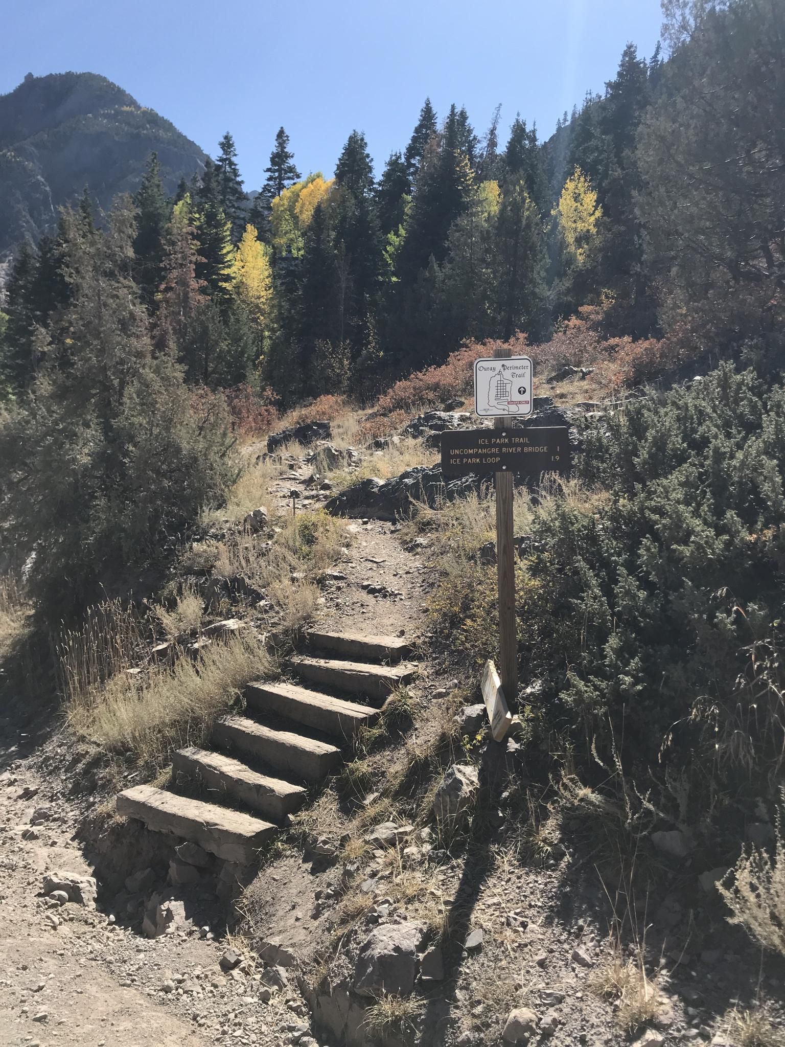 Wooden steps on a sunny dirt trail through an autumn forest. - Imogene Pass Road