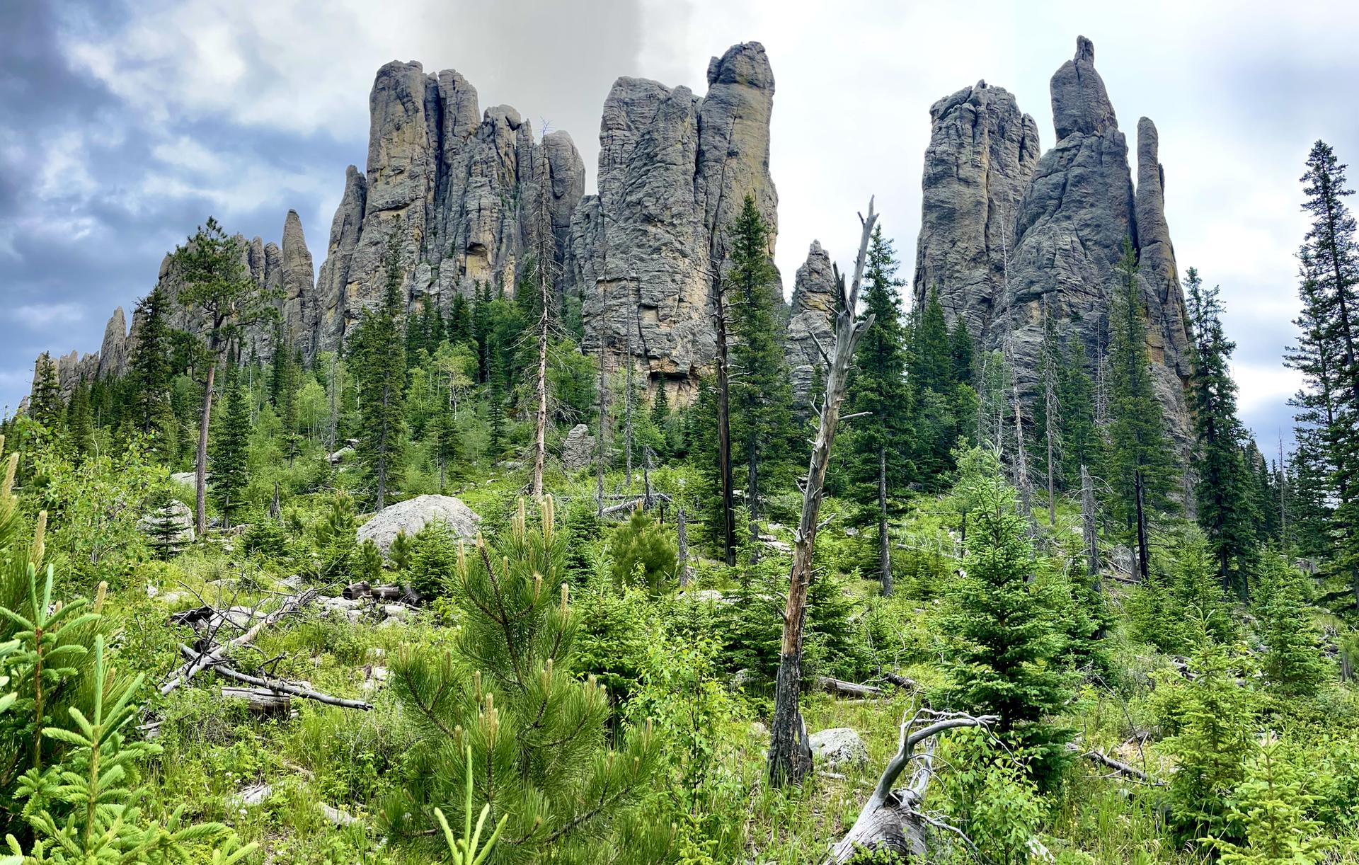 Imposing gray rock spires rise from a dense green forest under a cloudy sky.