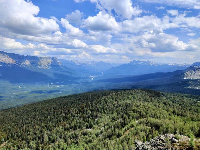 Panorama Ridge East via Taylor Lake Trail — Banff National Park ...