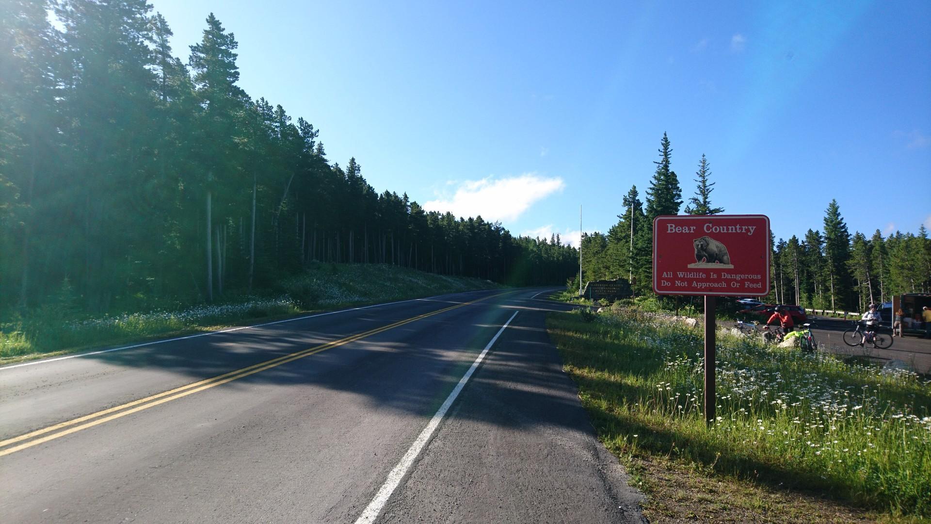 Sunny road through a pine forest with a red 'Bear Country' sign.