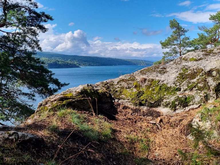 Viaggio di andata e ritorno da Breivoll Gård attraverso le scale Sherpa ...
