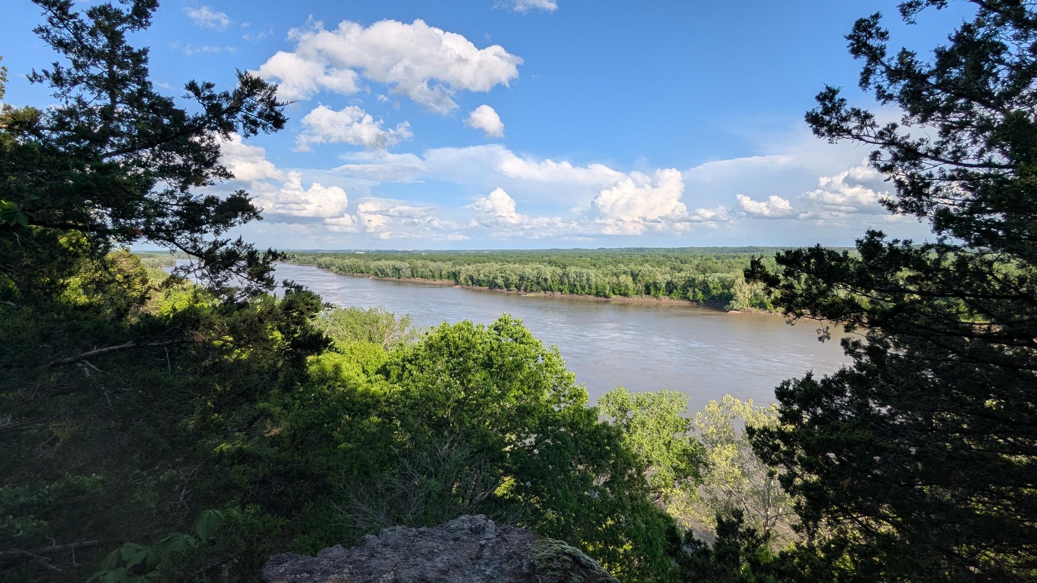 Sunny panoramic view of a wide river through green forests under a blue sky.