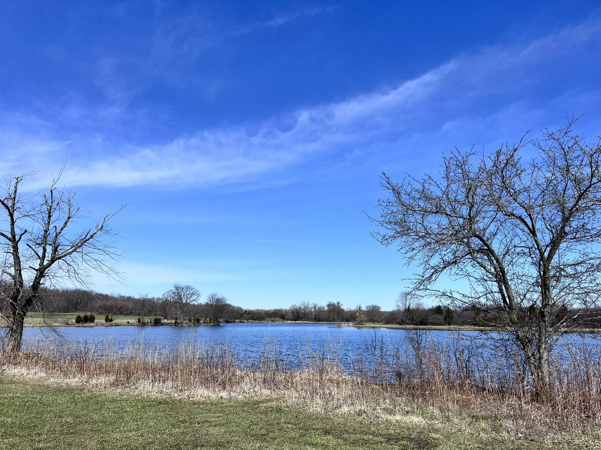 Calm lake with bare trees on the shore under a clear blue sky.