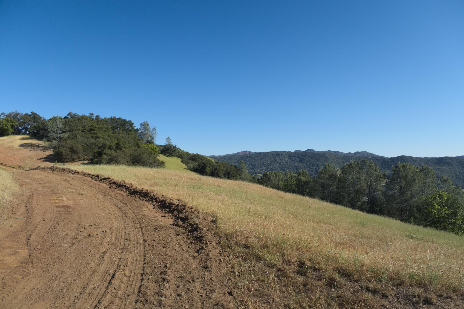 A dirt path curves through sunlit, golden hills with scattered trees and distant mountains.
