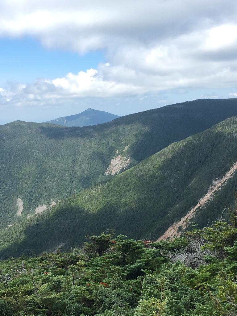 Steep forested mountainsides with rocky slides and a distant peak under a cloudy sky.
