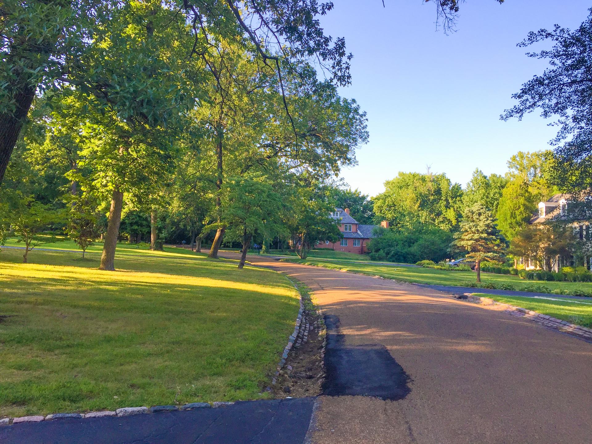 Golden hour sunlight illuminates a winding paved road bordered by green trees.