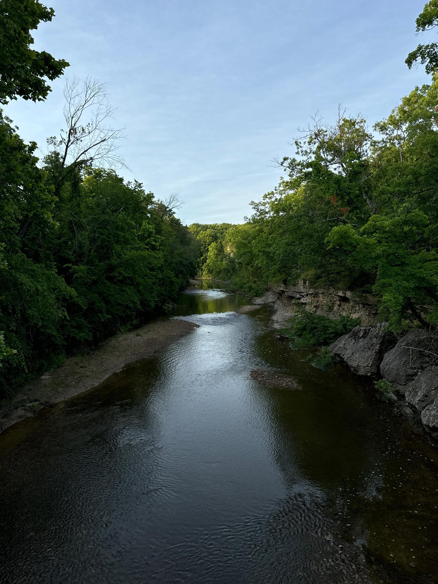 A river flows through a lush green forest under a bright sky.