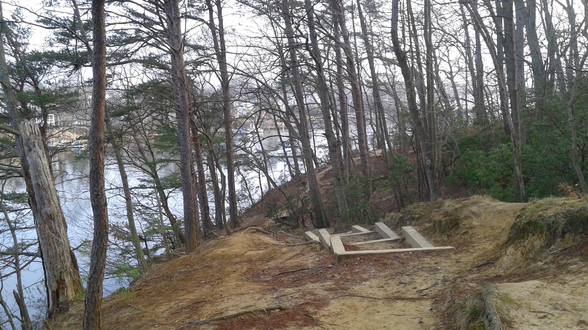 Wooded hillside with tall trees overlooking water, under an overcast sky.