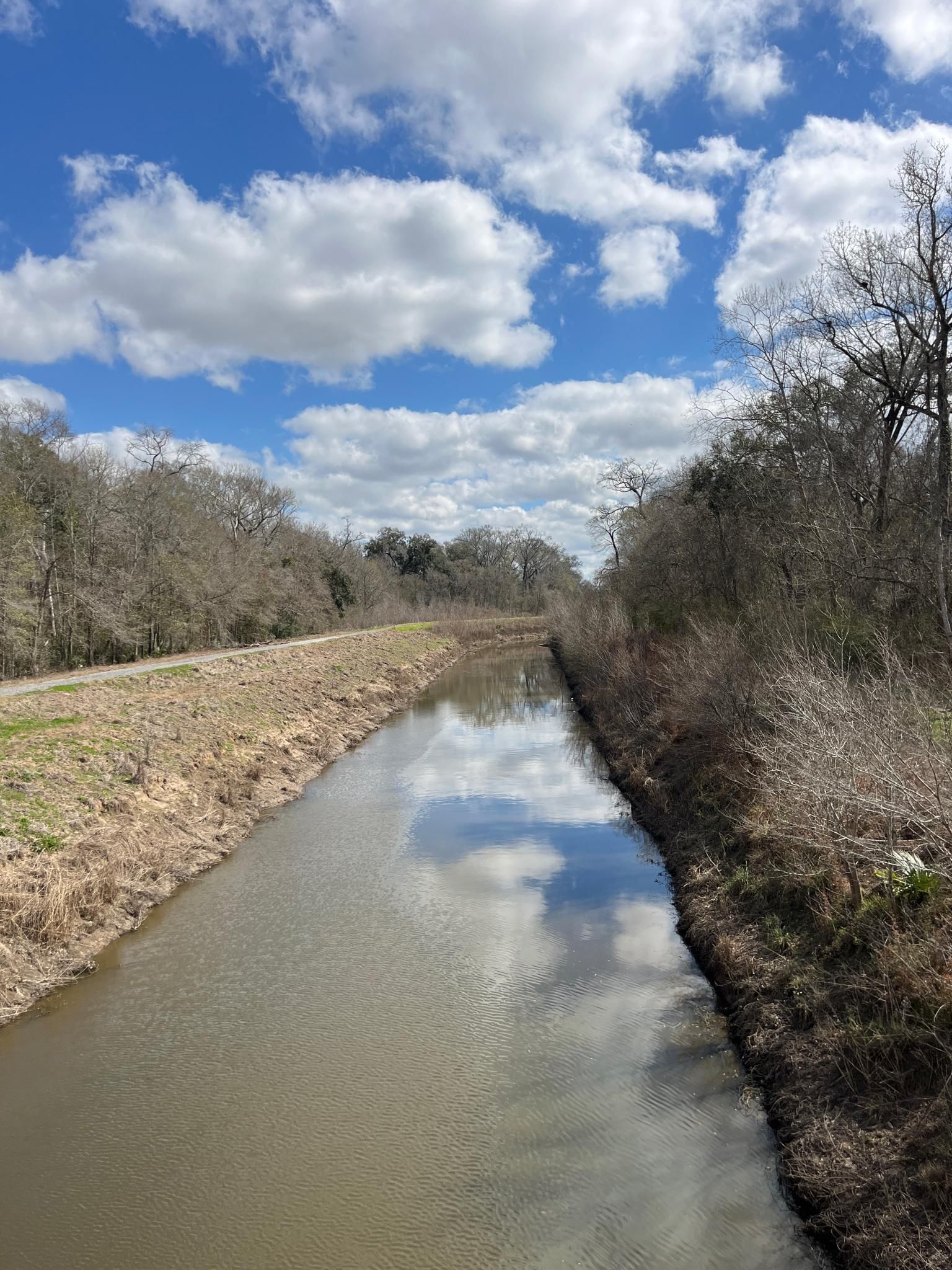 A canal reflecting a cloudy blue sky, with dry banks and bare trees. - Acadiana Nature Station Boardwalk