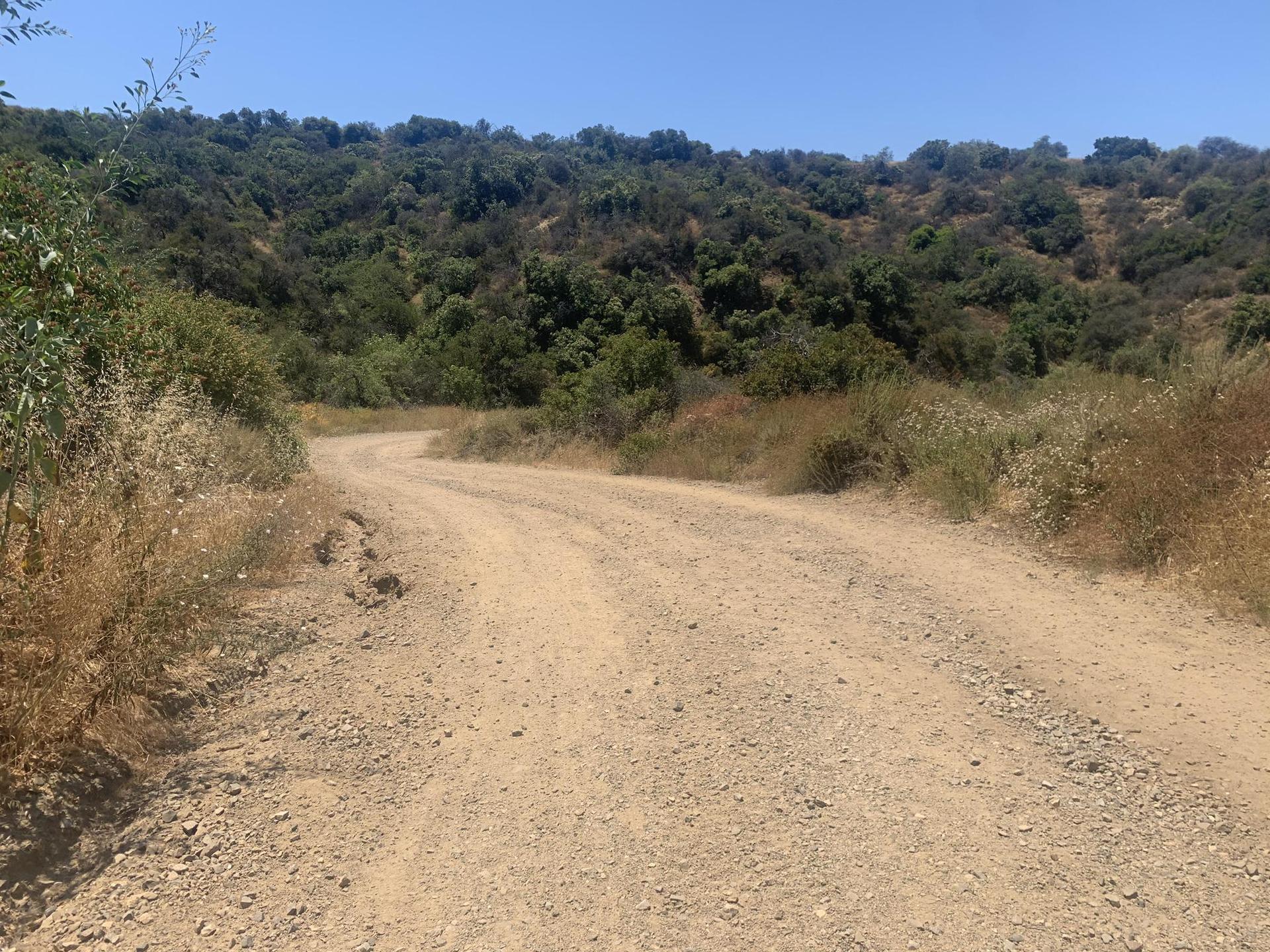 A wide dirt road winds through sunny, brush-covered hills.