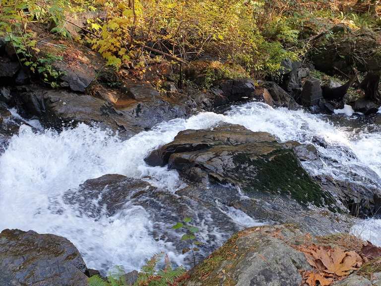 Killarney Lake loop — Bowen Island Ecological Reserve | Wanderung | Komoot