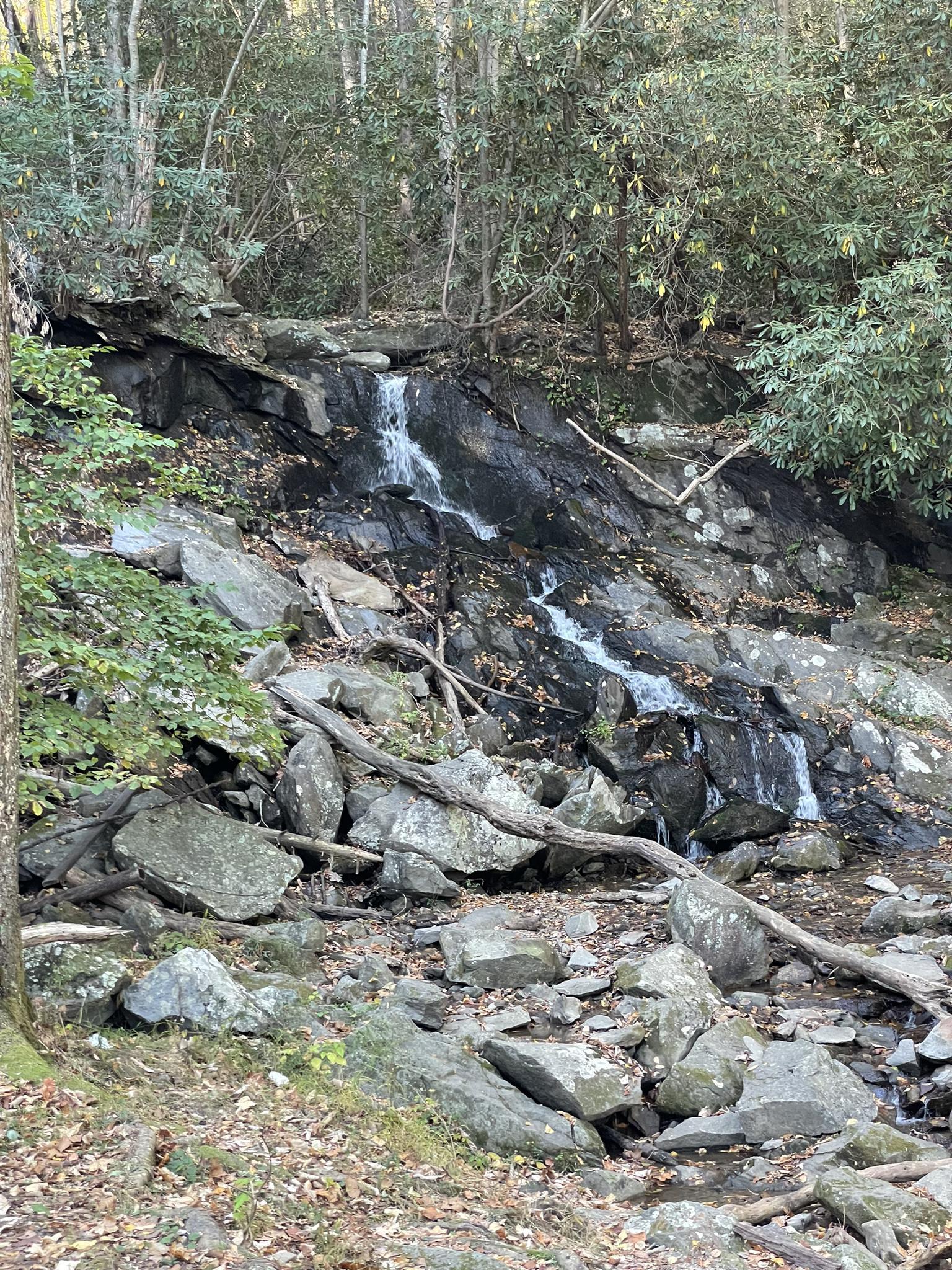Waterfall flowing over dark rocks in a shaded, rocky forest.