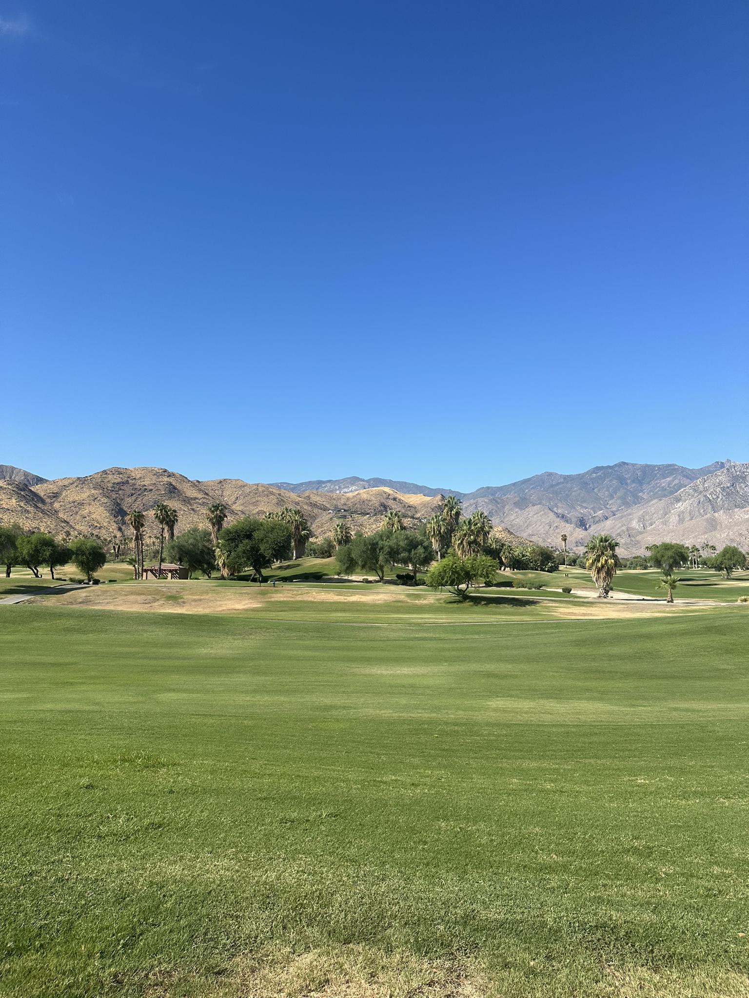 Green golf course with palm trees and distant mountains under a clear sky.