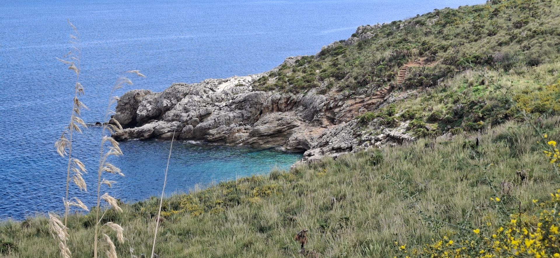 Rocky coastline with green and yellow vegetation, clear blue water, sunny day.