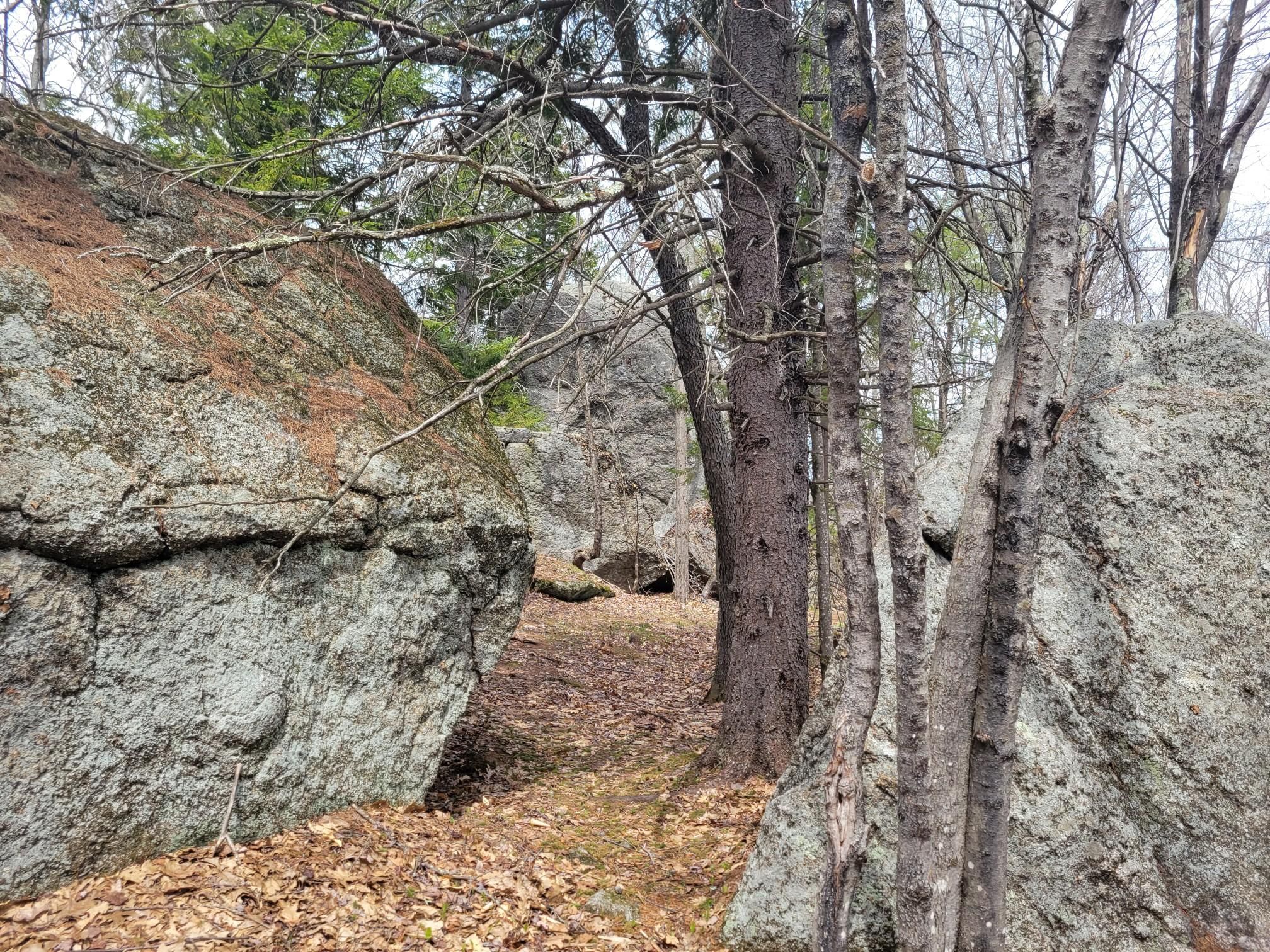 A narrow dirt path winds between massive mossy boulders in a sparse forest. - Stoddard Rocks via Pioneer Lake