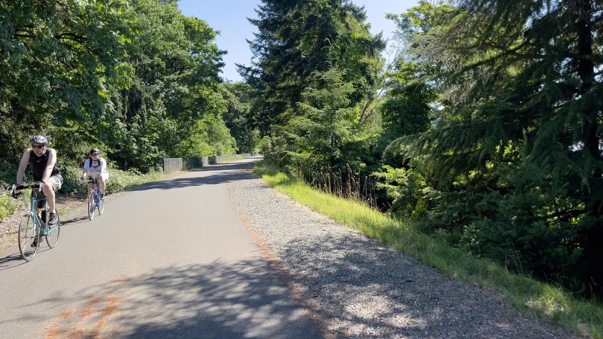 Two people cycling on a sunny paved path surrounded by lush green trees.