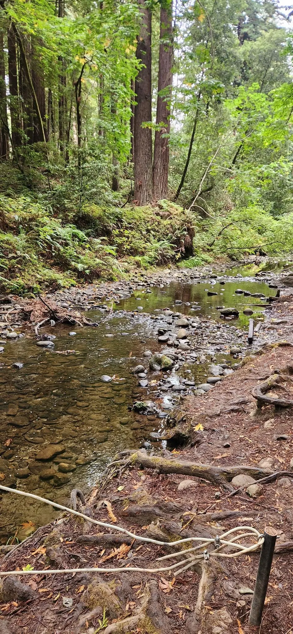 A shallow, rocky stream flows next to a dirt path with a rope railing.