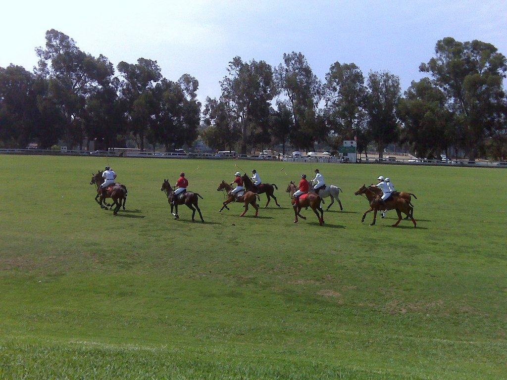 Several people on horseback play polo on a large green field.