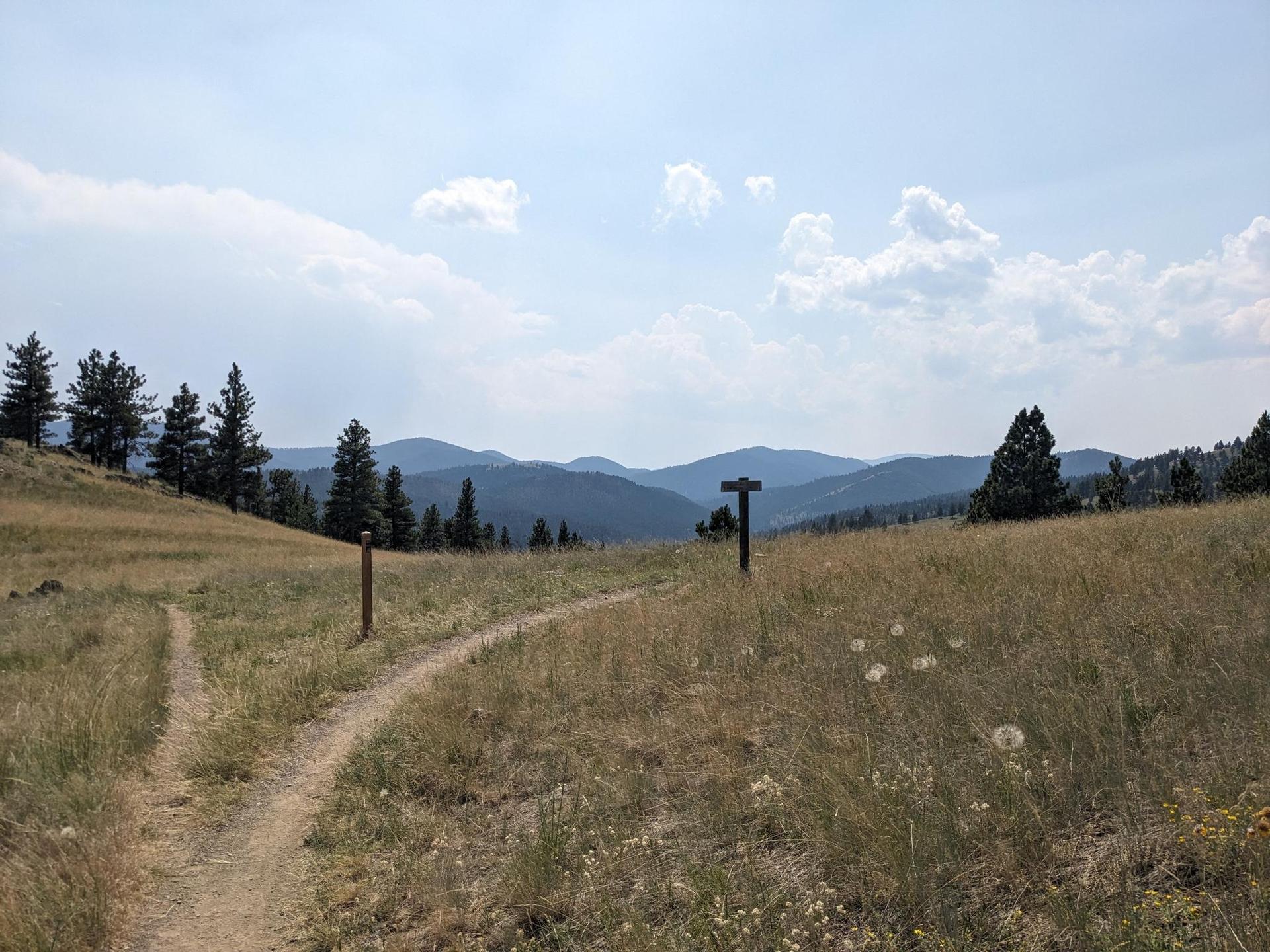 Forking dirt trail through a sunny, grassy field with mountains and trees.