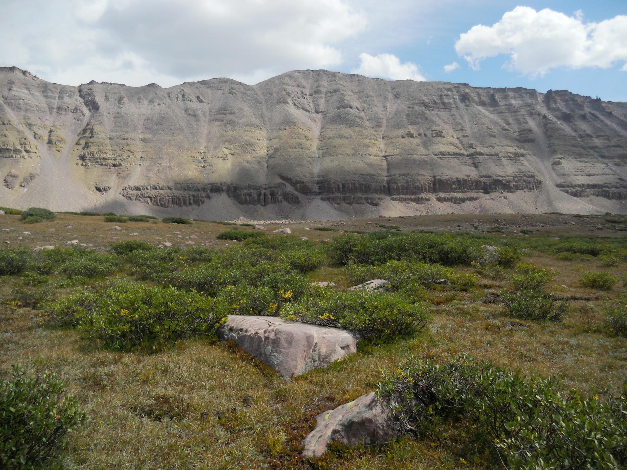 Vast layered rock wall rises above a field of green and golden shrubs.
