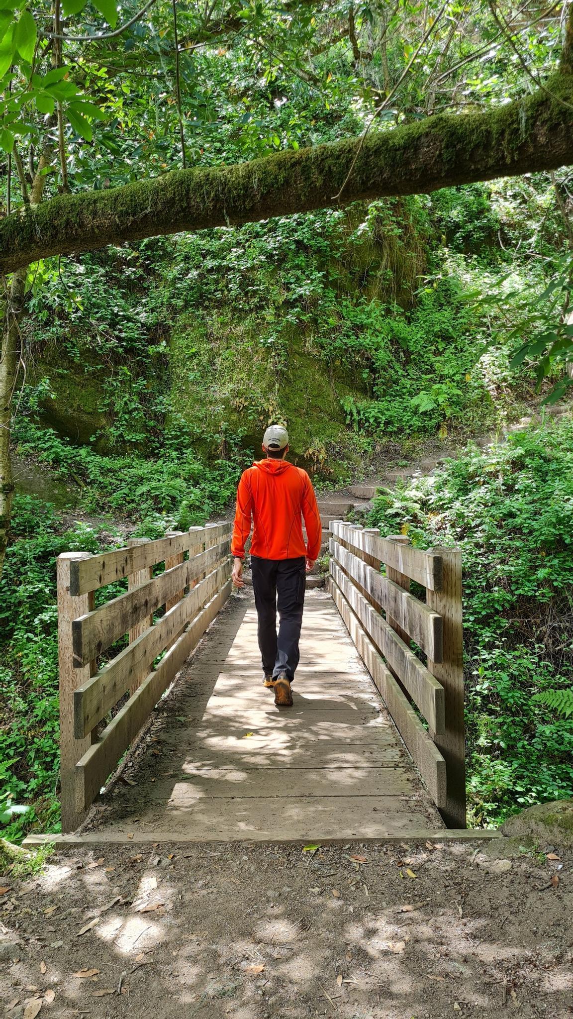 A person in orange walks across a wooden bridge in a lush forest.