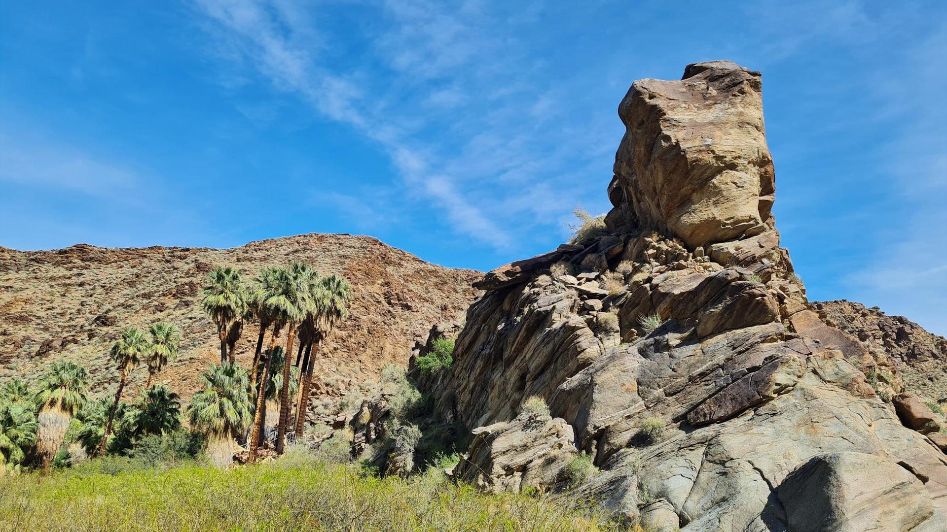 A large rock formation and palm trees against rocky hills under a bright blue sky.
